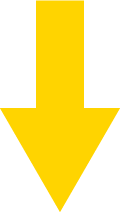 サービス実績